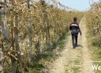 Una rete territoriale contro lo sfruttamento lavorativo: percorso formativo per migliorare contrasto a illegalità