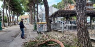 Cervia: Insorgono gli operatori turistici di Tagliata: “Mai visto un degrado così”
