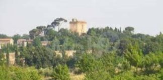 Si parte con la primavera live a Monte Brullo a Faenza con il Gallo Team