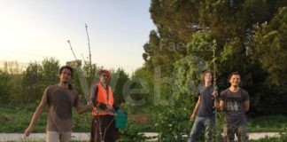 Ortisti di Strada distribuisce gratuitamente 300 alberi da frutto donati da Geoplant Vivai