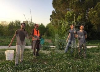 Ortisti di Strada distribuisce gratuitamente 300 alberi da frutto donati da Geoplant Vivai