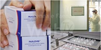 Covid, arrivato il farmaco Paxlovid nelle farmacie ravennati