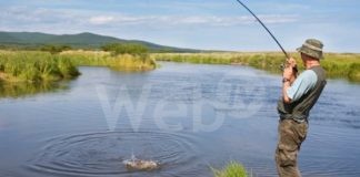 Lotta alla pesca illegale: entro giugno la firma delle regole comuni nel Distretto del fiume Po