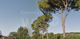 Italia Nostra chiede un progetto di nuove piantumazioni di pini ad Errano