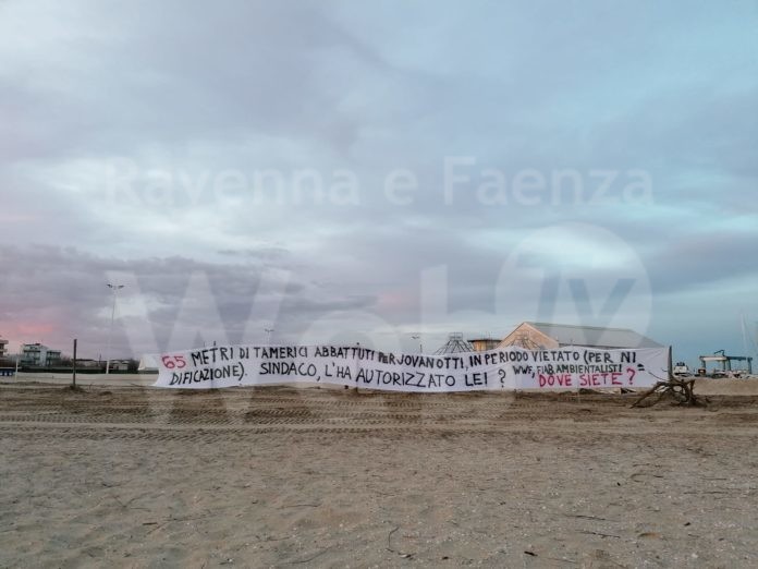 striscione tamerici abbattuti