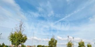 Massa Lombarda: Prosegue la manutenzione del verde pubblico