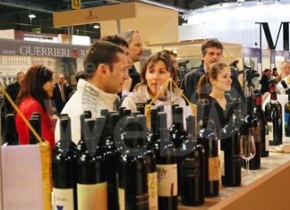 Vinitaly 2022, l’Emilia-Romagna protagonista: oltre 120 partecipanti tra aziende e produttori.