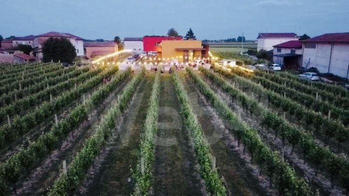 Azienda agricola Randi