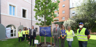 Una nuova quercia a Palazzo Rasponi
