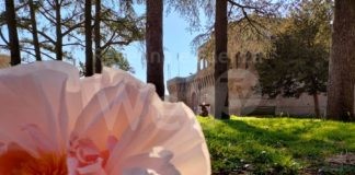 Bagnara di Romagna: arriva il «Maravaia! Market», evento dedicato ad arte, creatività e artigianato