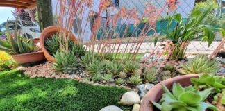 Fusignano: concorso «L’angolo fiorito», aperte le iscrizioni alla 20esima edizione