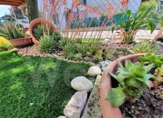 Fusignano: concorso «L’angolo fiorito», aperte le iscrizioni alla 20esima edizione