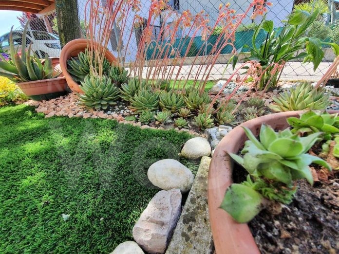 Giardino di Riccardo Castellani, 2021 (1)