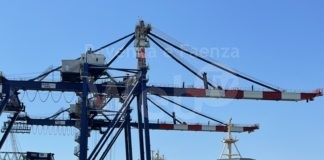 ZIM Line potenzia i collegamenti tra il Mediterraneo e l’Adriatico