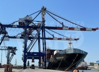 ZIM Line potenzia i collegamenti tra il Mediterraneo e l’Adriatico