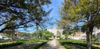 Lavezzola: un incontro dedicato ai giovani per conoscere lo sviluppo delle professionalità in un’associazione culturale