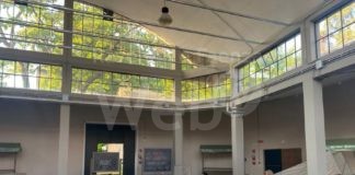 Bagnacavallo, Progetto Markè: domani si parla di disegno e illustrazione con Federica Carioli e Marta Besantini