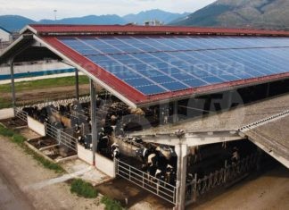 Dl Aiuti: Coldiretti, 180 milioni di mutui salvano il Made in Italy