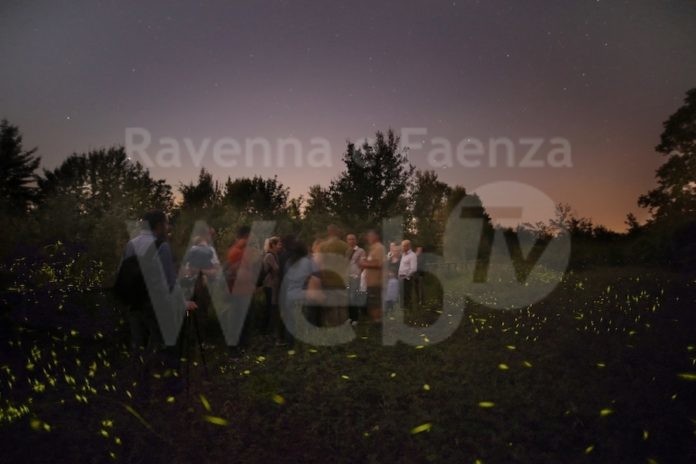 Pantaleone Natura nella notte - FOTO FLAVIO BIANCHEDI I