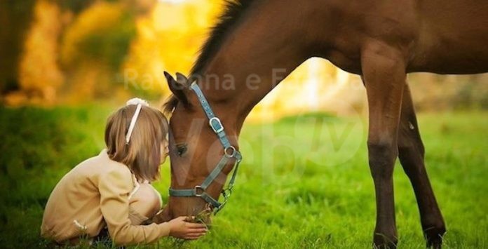 Percorsi-di-Ippoterapia-per-Ciechi-ed-Ipovedenti-a-Torino-2-1