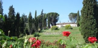 Nel giardino di Persolino il concorso internazionale per nuove varietà di rose