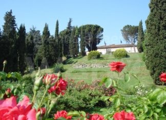 Visite guidate al roseto del Persolino Strocchi il 3 giugno