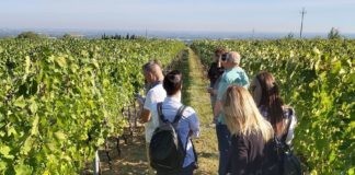 Emozioni di gusto, natura e cultura con “Romagna a tu per tu”