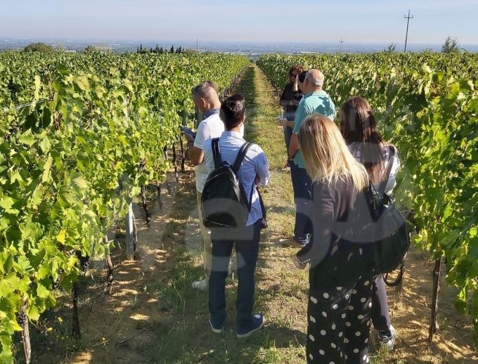 Romagna a tu per tu 1