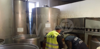 Controlli della Guardia di Finanza a tutela della produzione nazionale di olio extravergine | VIDEO