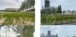 Binazzi (Viva Ravenna): Area Camper “Elettorale”