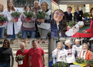 “Festa della Mamma 2022”: lo IOR supera le 15000 azalee donate in tutta la Romagna
