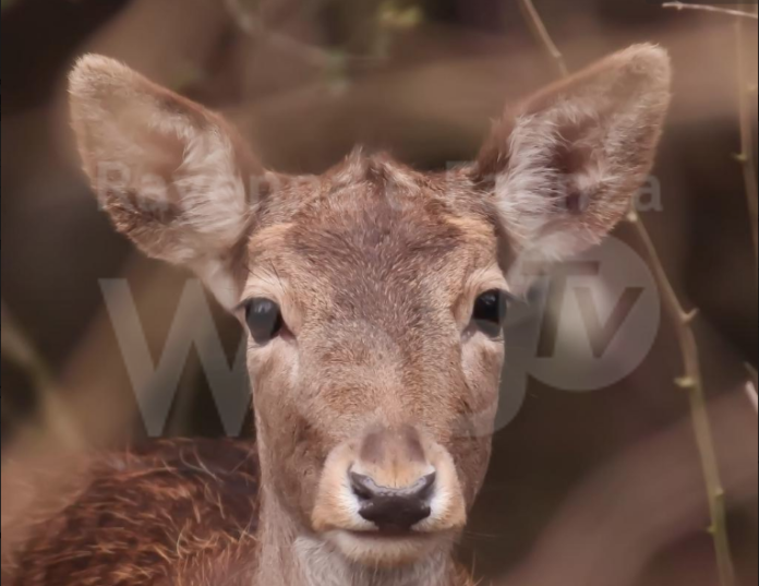 Schermata 2022-05-14 alle 13.00.57