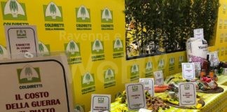 Coldiretti: Un azienda su 10 a rischio crack, sos costi