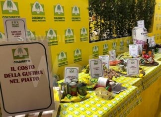 Coldiretti: Un azienda su 10 a rischio crack, sos costi