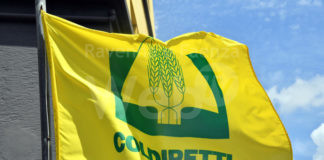 UE. Stop Von Der Leyen a terreni incolti con mobilitazione a Bruxelles. Coldiretti assieme e organizzazioni agricole da tutta Europa