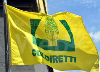 Ucraina: Coldiretti, investire per rendere il paese autosufficiente