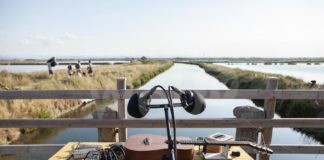 “ELEMENTI” IV edizione: 3 giugno all’8 agosto eventi musicali in tutta la Romagna. Ecco il programma