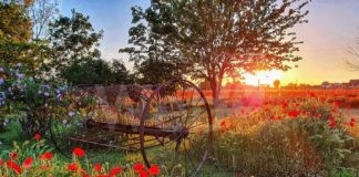 Torna Giardini Segreti. 30 giardini privati aperti al pubblico in tutta la provincia