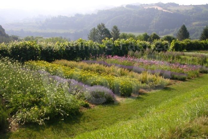 giardino-delle-erbe-casola-e1476452248381-700x467