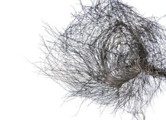 Al via “Mani che muovono il mondo”, percorso formativo rivolto a insegnanti, educatori, genitori