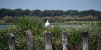 Assoraro: concluso “Un Zir in tla Val” nella valle della Baiona