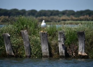 Assoraro: concluso “Un Zir in tla Val” nella valle della Baiona