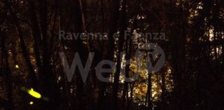 Fusignano: Art Duo in concerto al Bosco delle lucciole