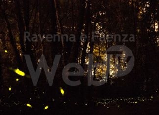 Fusignano: Art Duo in concerto al Bosco delle lucciole