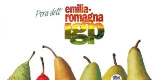 Sostegno alla pera dell’Emilia-Romagna. Bando da 600 mila euro a favore delle imprese agricole