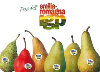 Sostegno alla pera dell’Emilia-Romagna. Bando da 600 mila euro a favore delle imprese agricole