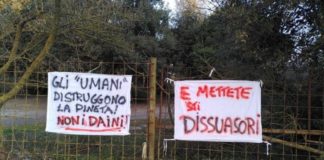Ravenna in Comune, daini: non si governa la complessità sperando