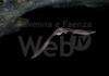 Vena del Gesso: un incontro sulla Seconda Guerra Mondiale e due appuntamenti dedicati ai pipistrelli