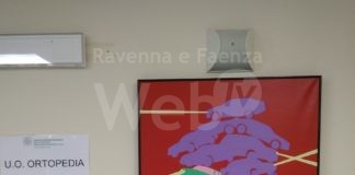 L’artista catalana Eva Sanjuan Manrique, ha donato un suo dipinto all’ospedale Umberto I di Lugo