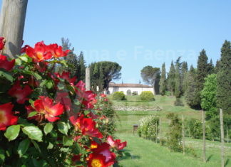 Iniziativa FAI Giovani Emilia Romagna. Visita al Roseto R. Bazzocchi dell’Istituto Persolino-Strocchi di Faenza